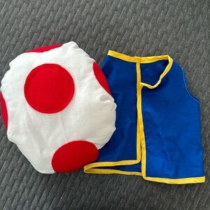 Handmade Baby Toad costume